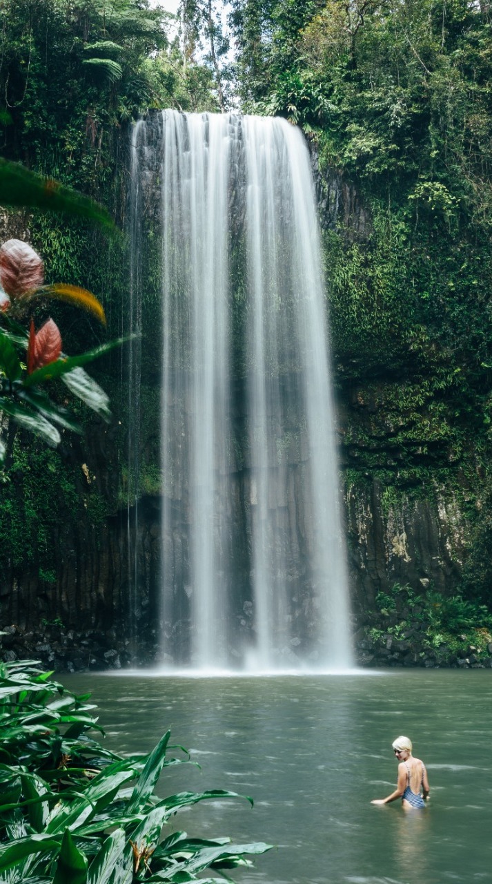 Treehouse at Rose Gums